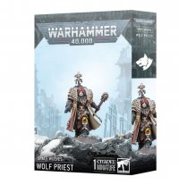 Space Wolves - Wolf Priest 