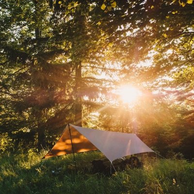 Tarp Lesovik ZMORA - walnut brown