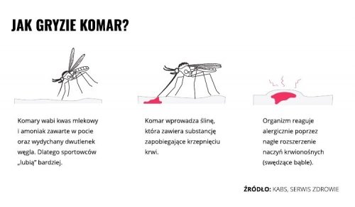 Mleczko repelent Mugga 20,5% DEET 50 ml