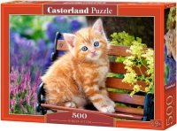 Puzzle 500 Castorland B-52240 Kotek Puzzle 500 Castorland B-52240 Kotek