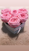 Nowość! Rózowe,angielskie, wieczne róze w mini boxe heart