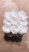 Nowość!Białe żywe WIECZNE róże w kwadratowym kremowym velvet boxie