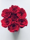 Czerwone żywe WIECZNE róże w małym czarnym boxie XS