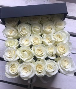 Białe żywe ŚWIEŻE róże w kwadratowym czarnym boxie