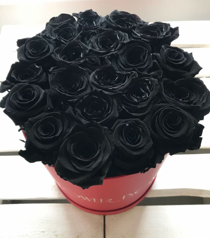 Czarne żywe WIECZNE róże w dużym czerwonym boxie