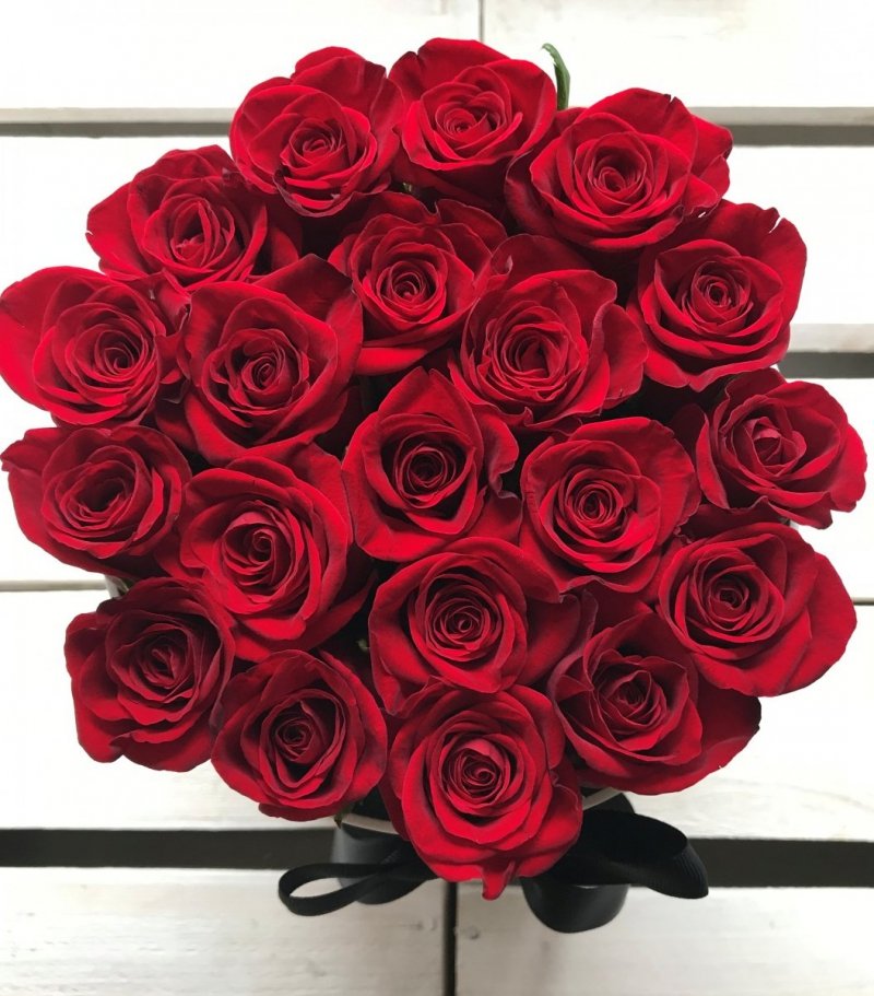 Czerwone żywe róże w średnim białym boxie