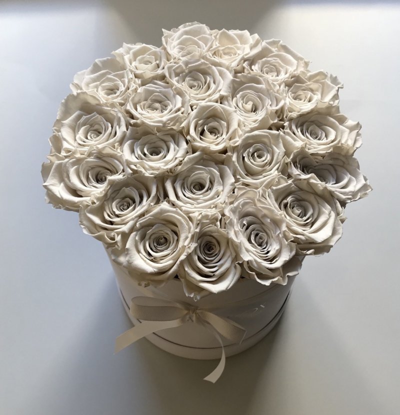 Białe żywe WIECZNE róże w dużym białym boxie