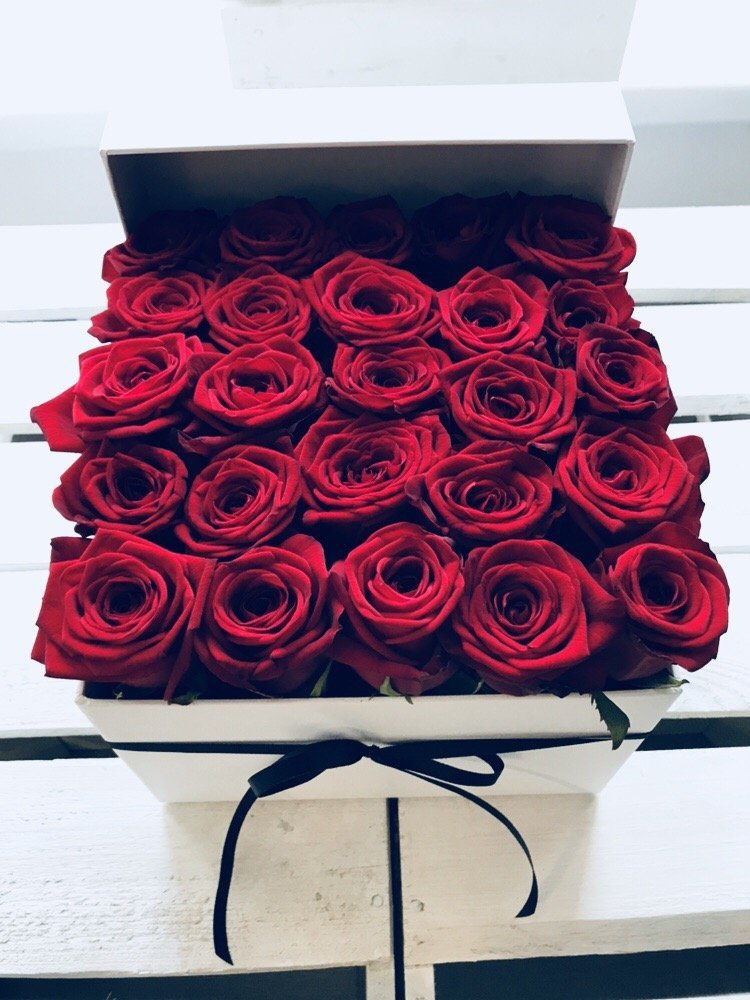 Czerwone żywe róże w kwadratowym białym boxie