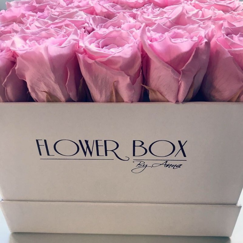 Różowe żywe WIECZNE róże w kwadratowym białym boxie