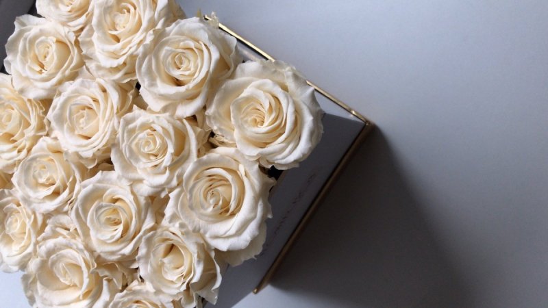 Kremowe CHAMPAGNE żywe WIECZNE róże w kwadratowym białym boxie