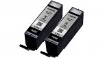 Canon oryginalny wkład atramentowy / tusz PGI-570XL BK TWIN BL SEC 0318C007 0318C007