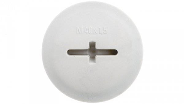 Zaślepka poliamidowa M40 IP68 z O-Ring SKINDICHT BLK-GL-M 40X1,5 jasnoszara 52006157