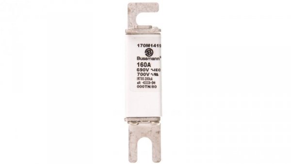 Wkładka bezpiecznikowa DIN000 160A aR 690V 170M1419
