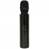 Mikrofon bezprzewodowy karaoke dla dzieci głośnik Bluetooth 2000mAh karta SD USB wysoka jakość czarny