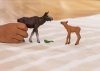 Schleich Zestaw figurek Łoś z cielęciem