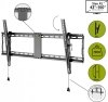 Wentronic Pro TILT (XL) 2,54 m (100) Czarny