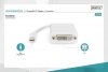 Digitus Kabel adapter Displayport 1080p 60Hz FHD Typ miniDP/DVI-I (24+5) M/Ż  0,15m Biały