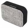 Esperanza Głośnik Bluetooth FM Samba szary