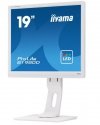 IIYAMA Monitor 19 cali B1980D-W1 DVI/VGA/5:4/PIVOT/HAS/ACR/VESA