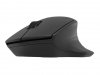 Natec Mysz bezprzewodowa Siskin 2 1600 DPI Bluetooth 5.0 + 2.4  GHz Czarna