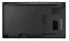 AG NEOVO Monitor wielkoformatowy PD-43Q  700 nit czarny