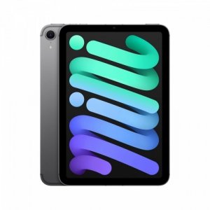 Apple iPad mini Wi-Fi + Cellular 512GB Gwiezdna szarość