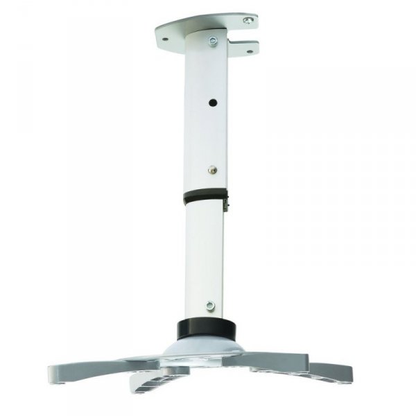 Techly ICA-PM 102S uchwyt do montażu projektora Sufit Srebrny