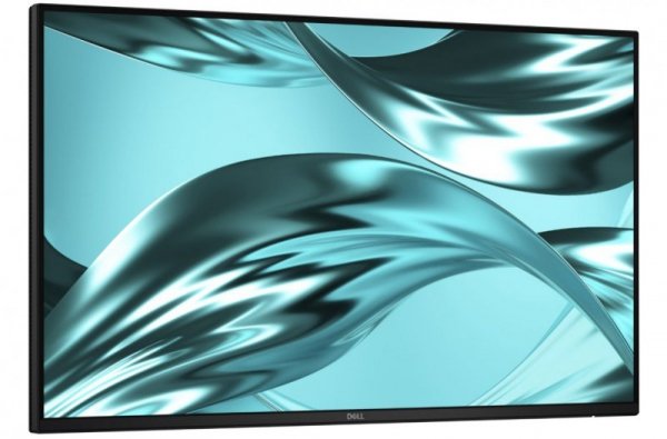 Dell Monitor P2426H WOST 23.8 cala IPS FHD (1920x1080)/16:9/HDMI/DP/3xUSB/2xUSB-C/No Stand/3Y