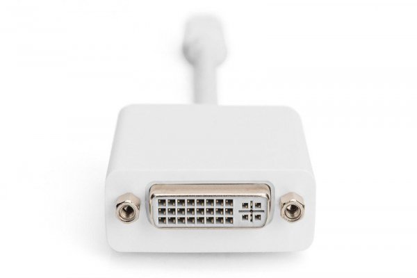 Digitus Kabel adapter Displayport 1080p 60Hz FHD Typ miniDP/DVI-I (24+5) M/Ż  0,15m Biały