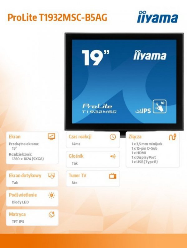 IIYAMA Monitor 19 T1932MSC-B5AG pojemnościowy 10pkt IP54 HDMI AG