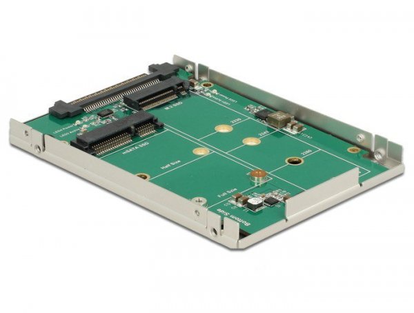 Delock Adapter SATA Express U.2 &gt; 1 x M.2 / 1 x mSATA