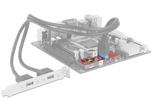 Delock Adapter M.2 KEY B+ M 59PIN-&gt;USB PIN HEADER 19PIN(M) 3.0 + zasilanie FLOPPY