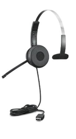 Lenovo Zestaw słuchawkowy 100 Mono USB 4XD1B61617