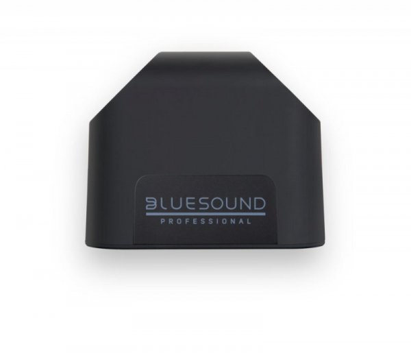 Bluesound Professional Głośnik sieciowy BSP200B ze zintegrowanym źródłem audio, PoE+, czarny