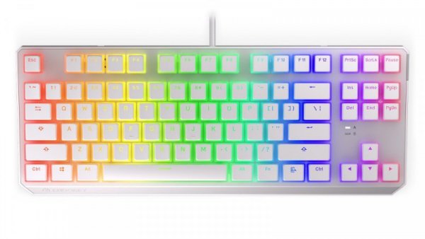 Endorfy Klawiatura gamingowa - Thock TKL OWH P.Kailh RD RGB