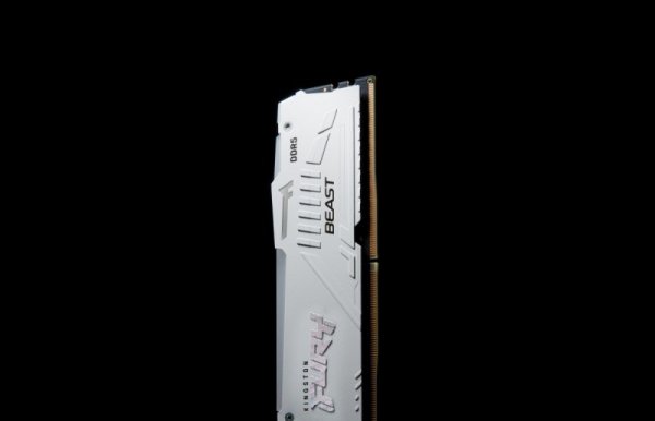Kingston Pamięć DDR5 Fury Beast RGB 16GB(1*16GB)/6000 CL40 biała