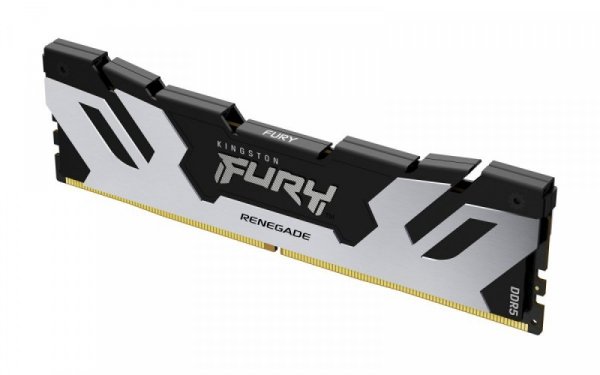 Kingston Pamięć DDR5 Fury Renegade 48GB(2*24GB)/6400 CL32 czarno-srebrna