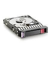 Hewlett Packard Enterprise 2,5 300GB 15Krpm **Refurbished** SAS-2 6Gb/s DP HDD Hot Plug Enterprise 3 yr Warranty Hard Drive