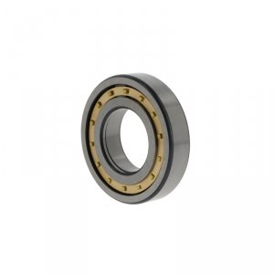 NUP210 -E-MPA