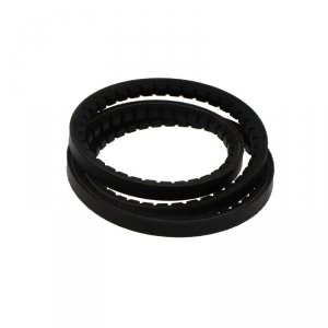 Pas AVX10-1375