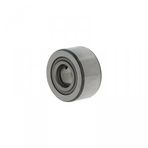 NUTR3580 -X