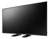 AG NEOVO Monitor 65 cali QM-65 LED VA UHD 350cd^m2 4000:1 DP HDMI DVI 24^7, czarny