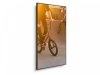 NEC Monitor wielkoformatowy 75 cali MultiSync P754Q UHD 650cd^m2 24^7 OPS