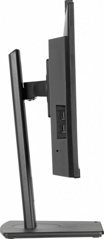 IIYAMA Monitor 24 cale XUB2490HSUH-B2 + Norton Small Business card 250G PL