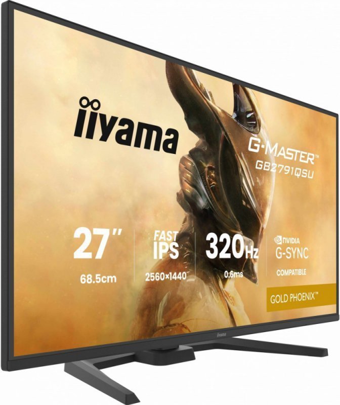 IIYAMA Monitor 25 cali GB2791QSU-B1 0.6ms,DP,2xHDMI 2.1 ,320Hz, Fast IPS,  WQHD,350 cd^m2, USB HUB x4 (2x Type-A, 2x Type-C), G-