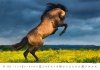 Kalendarz ścienny wieloplanszowy Horses 2023 - listopad 2023