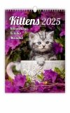 Okładka kalendarza ściennego Kittens 2025 