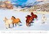 Kalendarz ścienny wieloplanszowy Horses 2024 - luty 2024