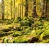 Kalendarz ścienny wieloplanszowy Forest 2023 - kwiecień 2023
