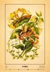 Kalendarz ścienny wieloplanszowy Herbarium 2024 - październik 2024